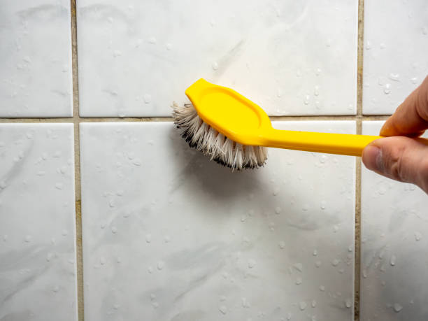 Best Best Mold Removal Companies  in Allendale, NJ