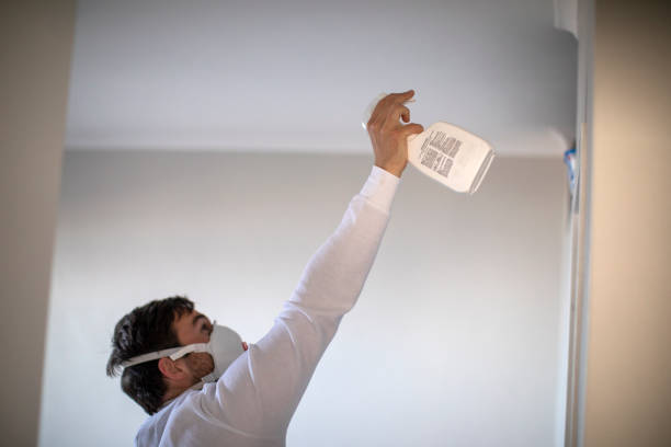 Best Emergency Mold Removal  in Allendale, NJ