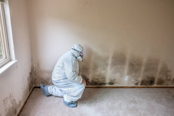 Best Residential Mold Removal  in Allendale, NJ